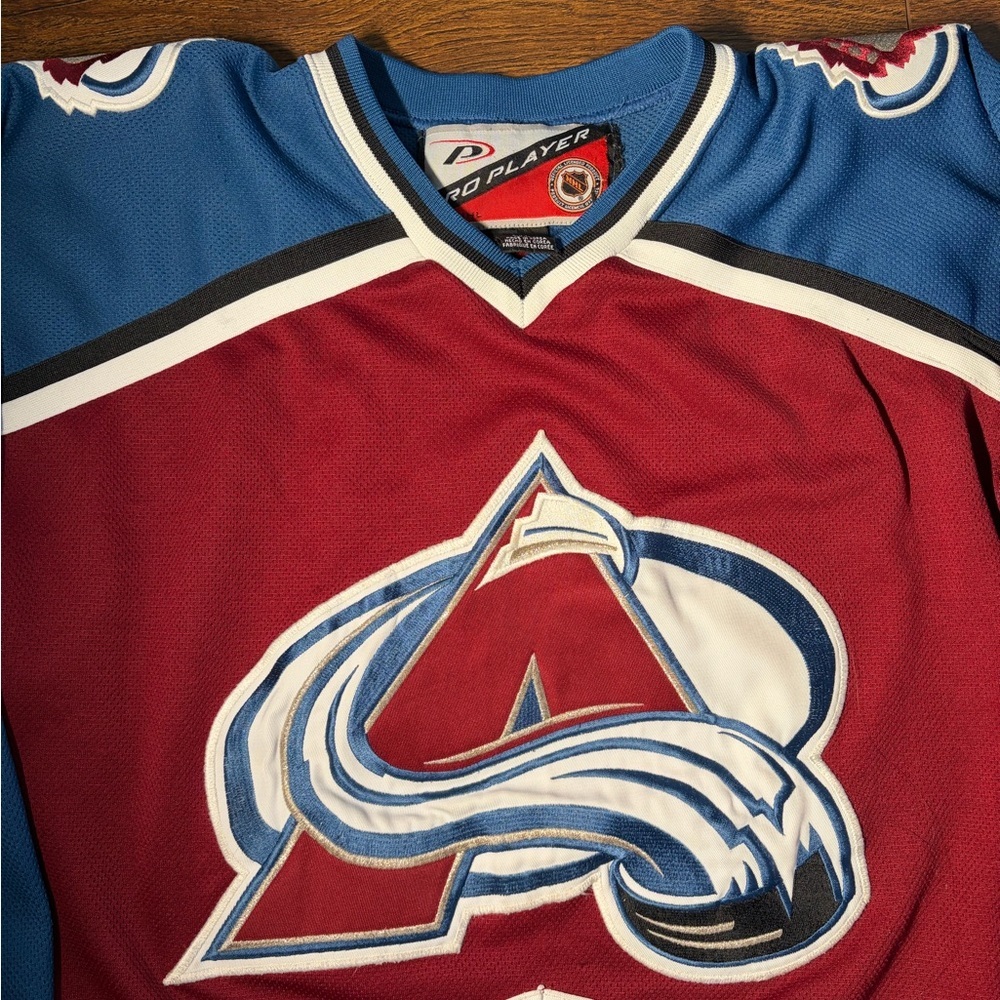 NHL Pro Player Jersey in Burgundy and Blue - Picture 2 of 5